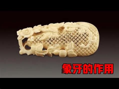 猛獁功效|【猛獁功效】神秘猛獁象牙功效大解密！養生、辟邪、增運通通報。